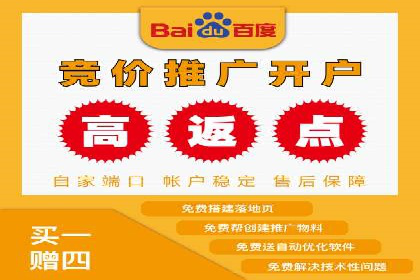 百度广告推广案例费用分析报告
